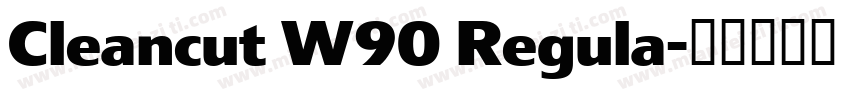 Cleancut W90 Regula字体转换